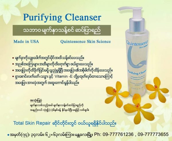 Purifying Cleaser
